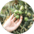 Menu icon