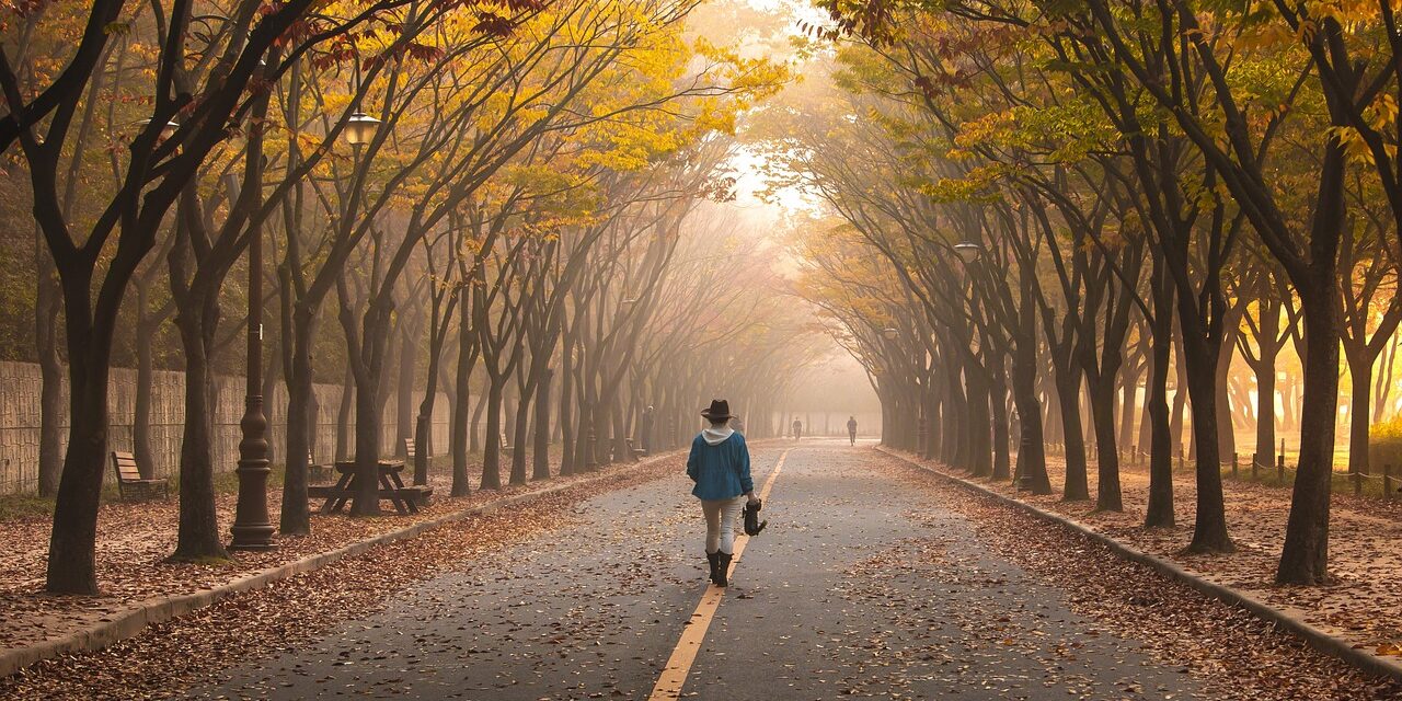 road-5767221_1280 Persona entre arboles caminando sola